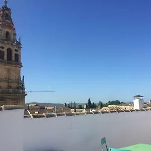 Entre 2 Mezquitas 8 Spain